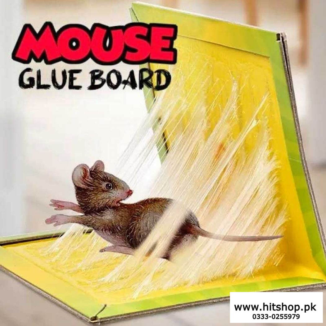 Pack of 3 Expert Catch Mouse Glue Traps 